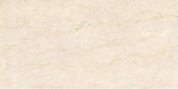 Botto Birch