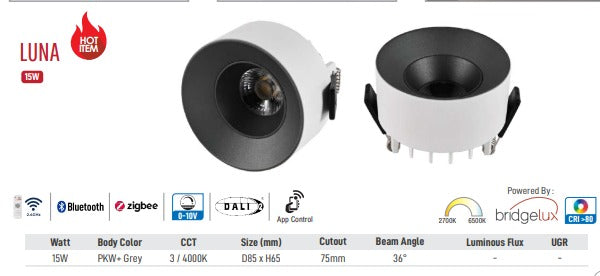 Luna LED Downlight