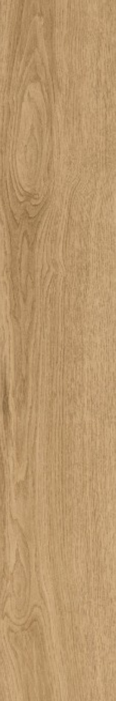 African Walnut