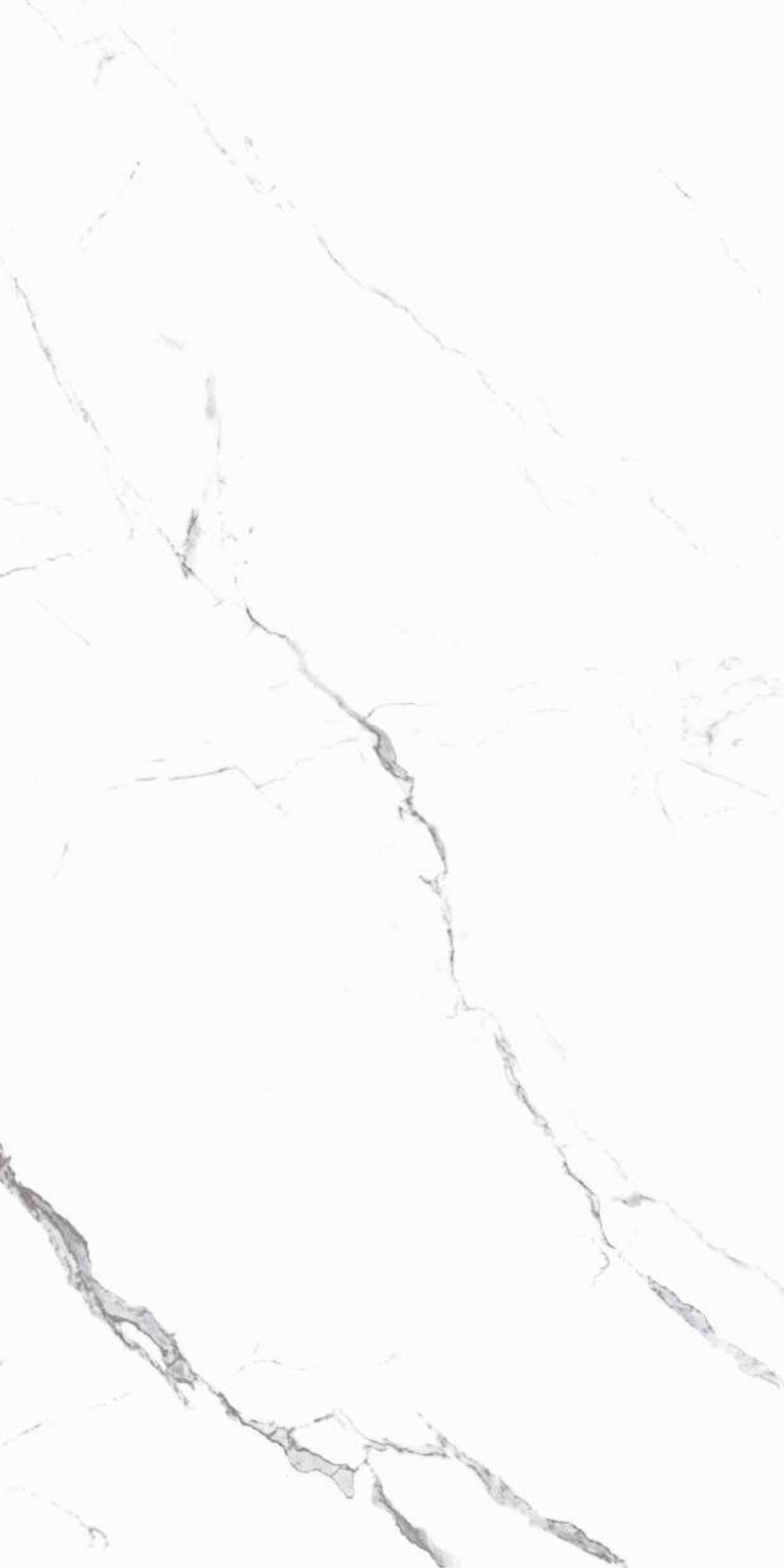 Alpine Calcatta