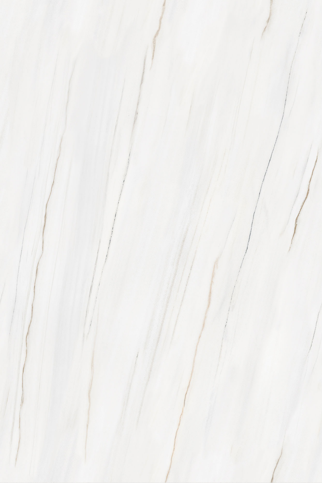 Bianco Panda