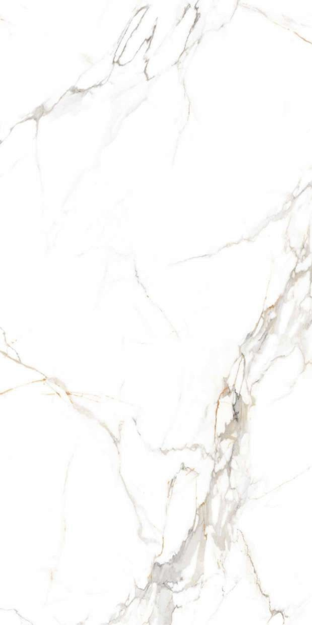 Calcatta Elegance Lux