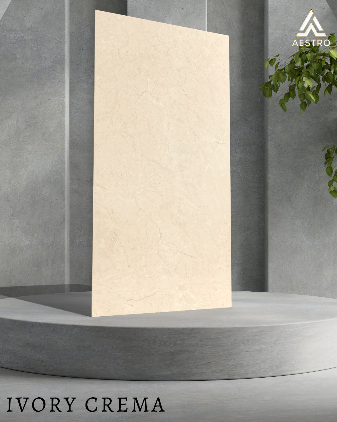 Ivory Crema