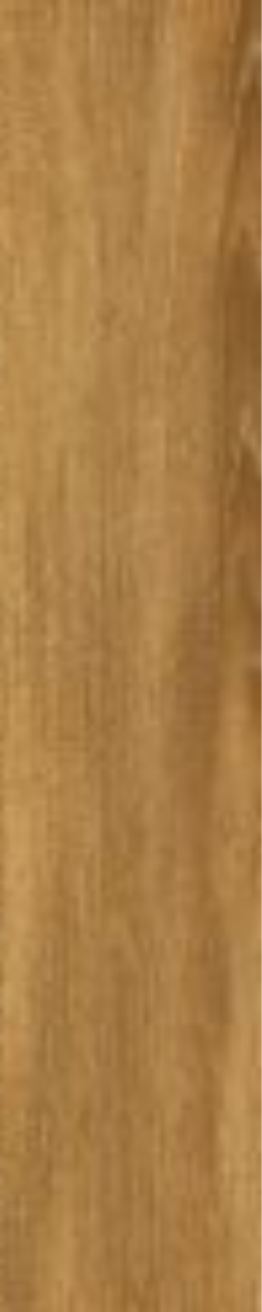 American Cherry