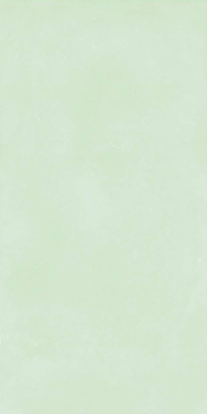 Nebula Mint