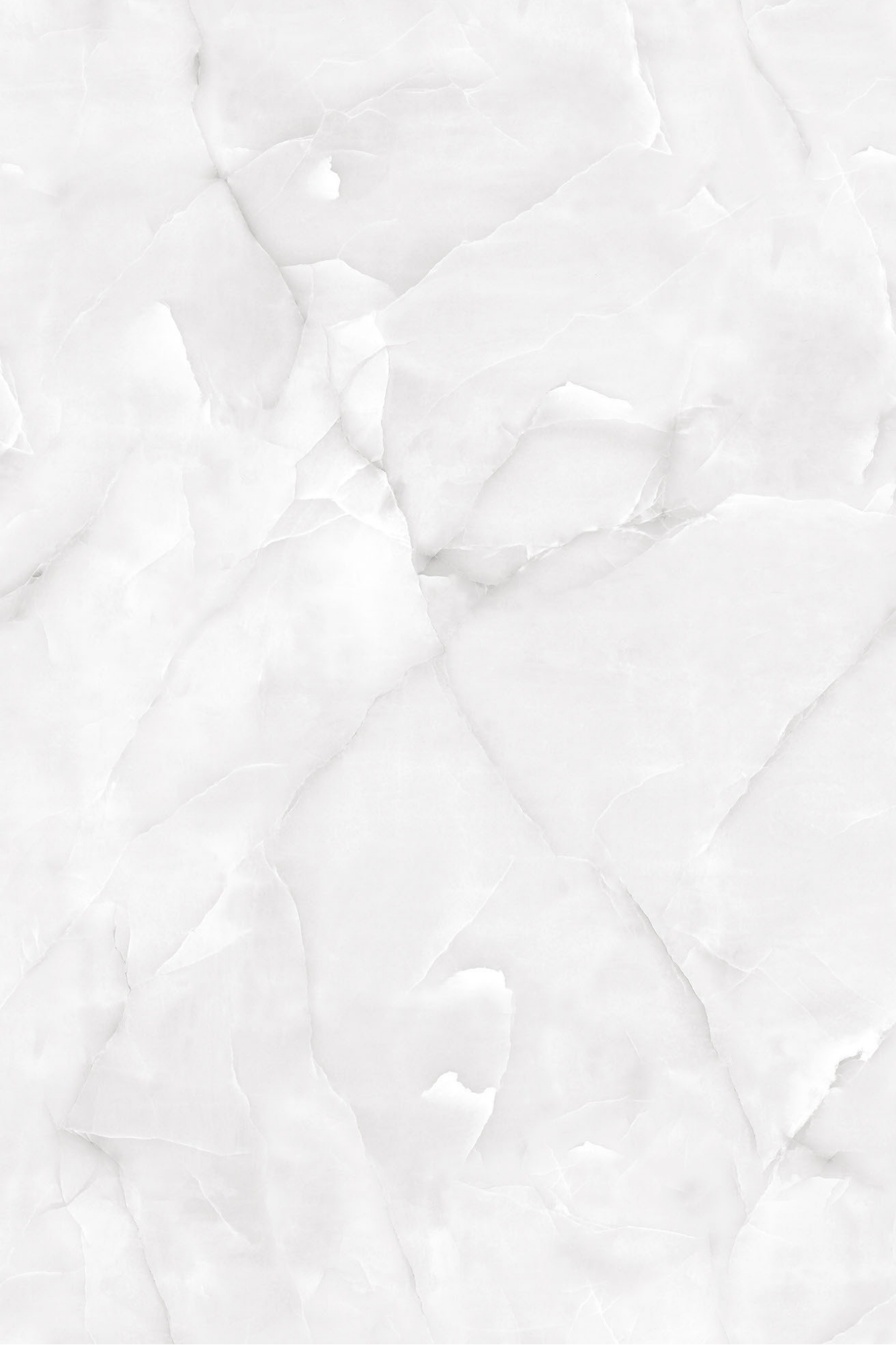Oyster Onyx