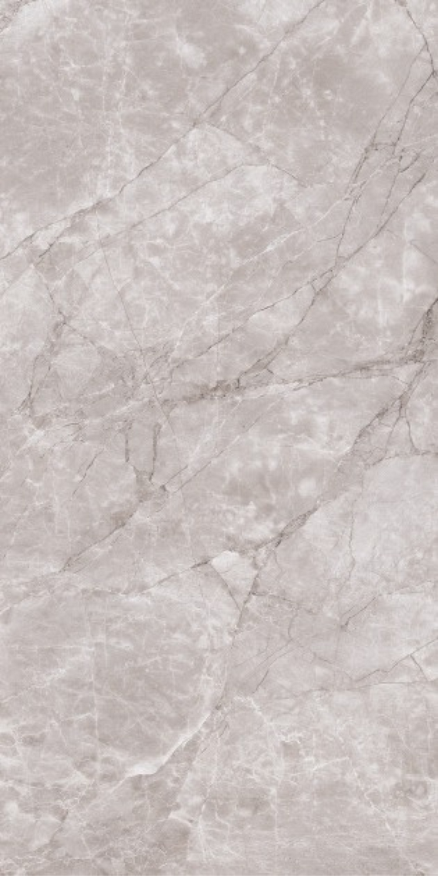 Elite Gris