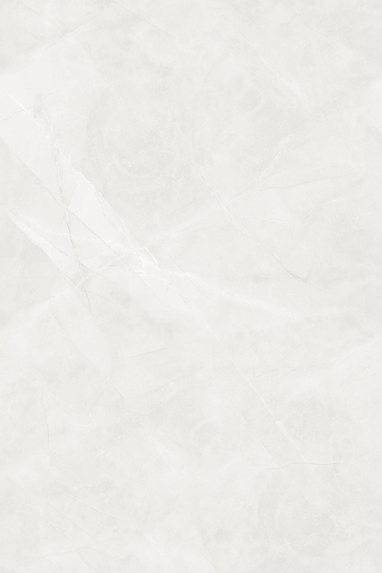 Silky Arezzo