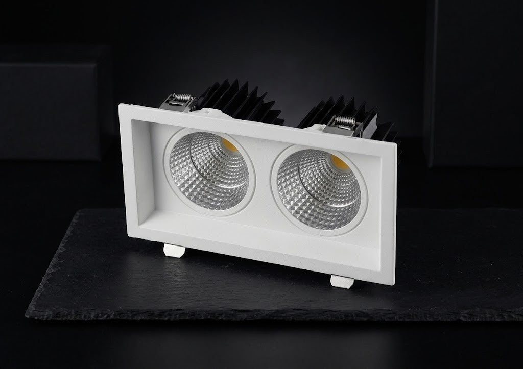 Swop DUO LED DownLight
