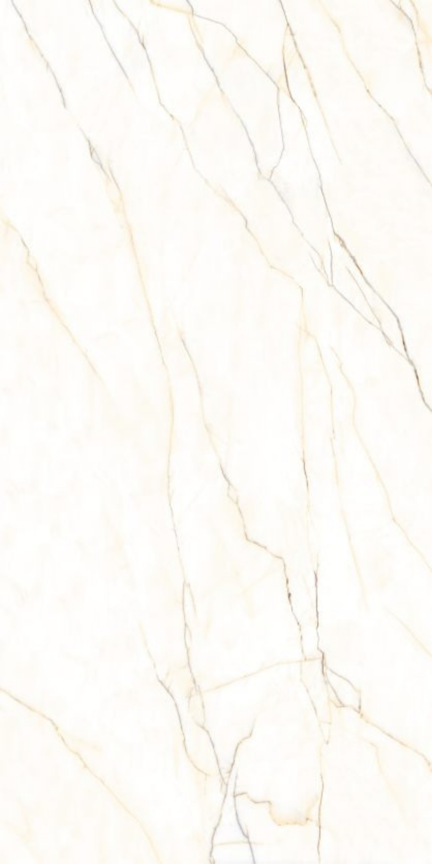 Venatino Veins