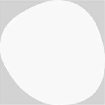 White Eye