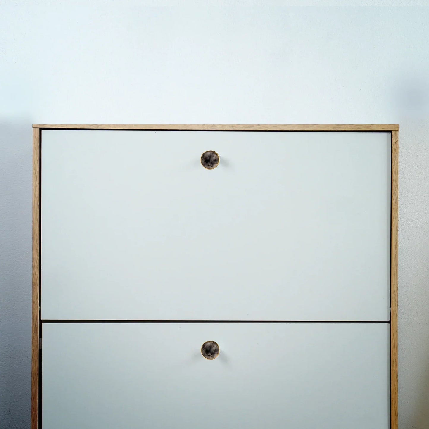 Acrylic & Brass Disc Cabinet Knob