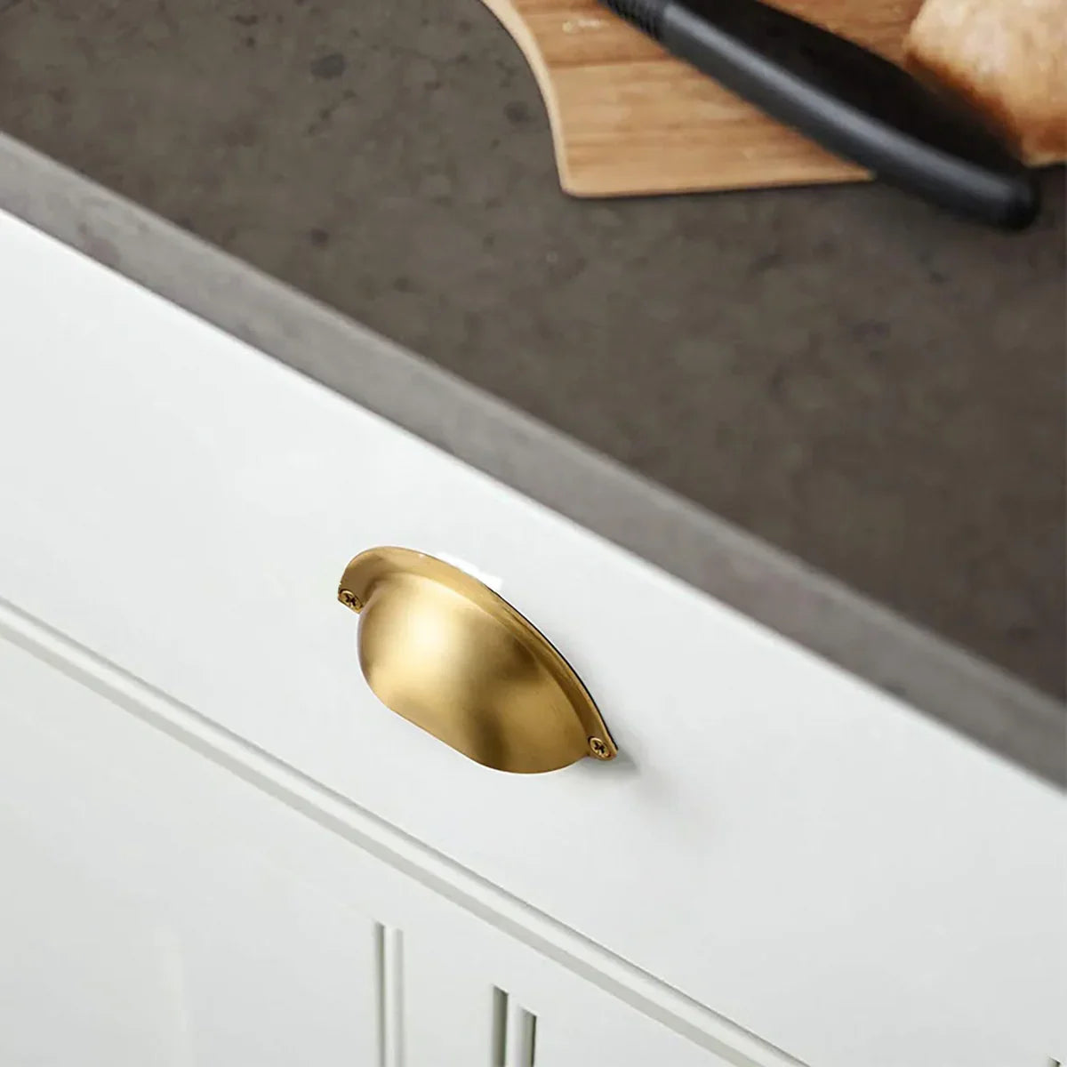 Classic Brushed Brass Shell Pull