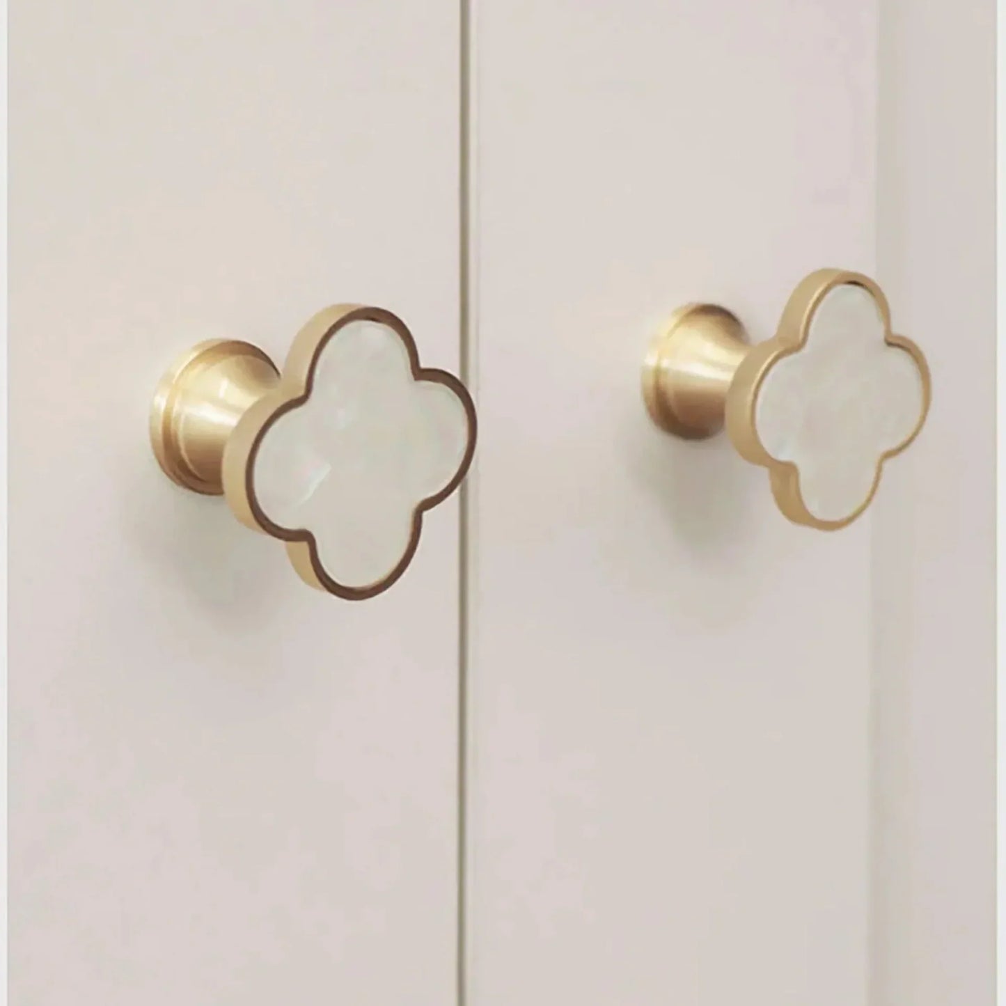 Clover Brass Cabinet Knob Collection