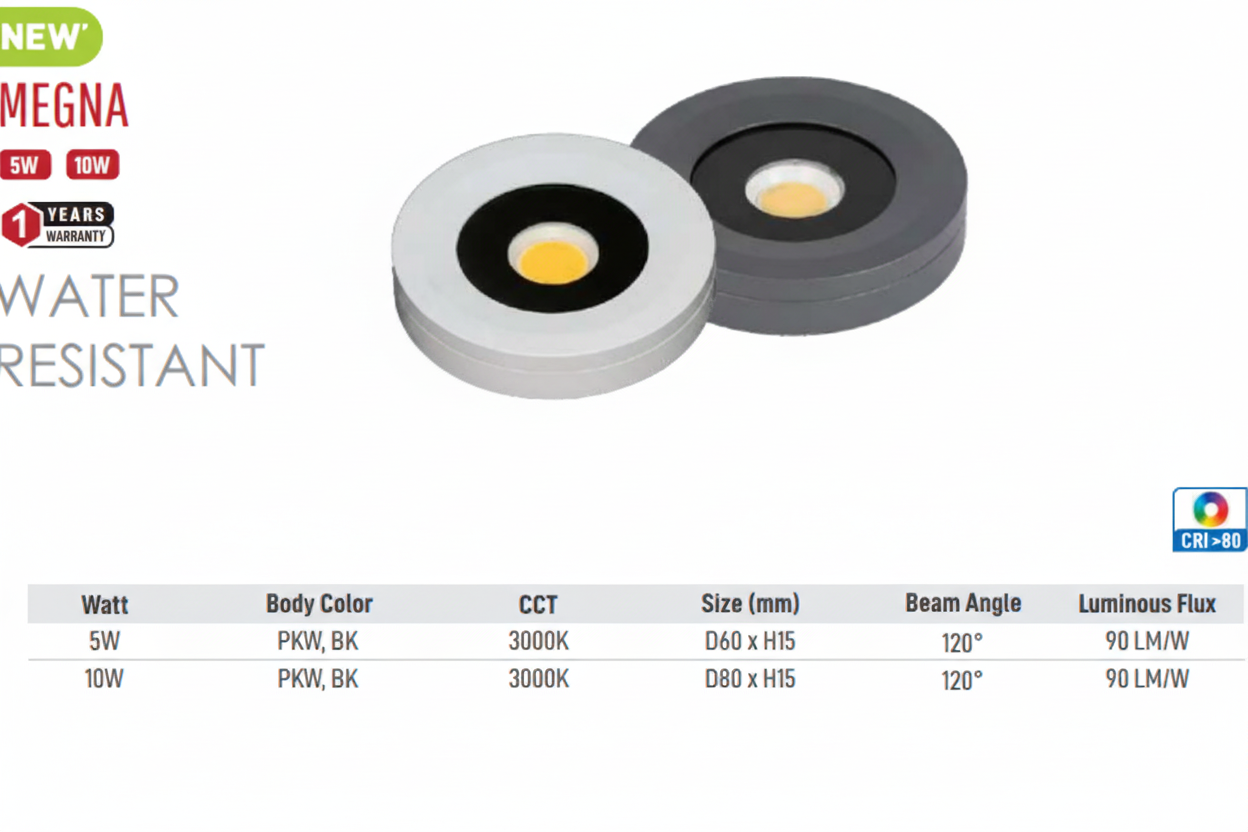 Magna IP Rated LED Surface Light