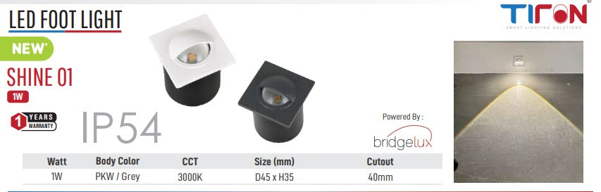 LED Shine 01 Foot Light