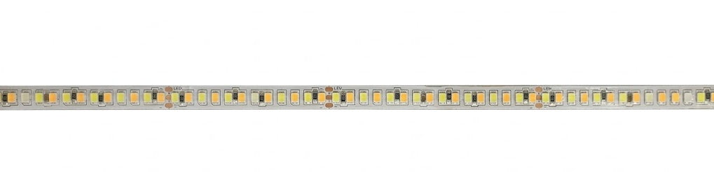 Enso 24V 192 LED CCT Strip Light