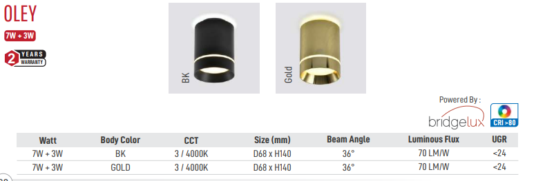 Oley Led Surface Light