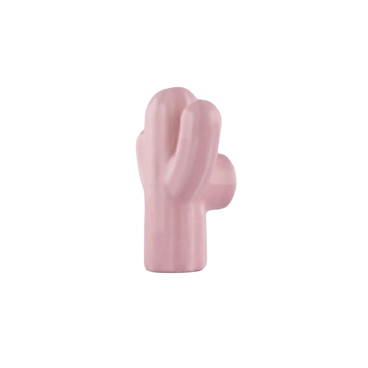 Ceramic Cactus Cabinet Knob