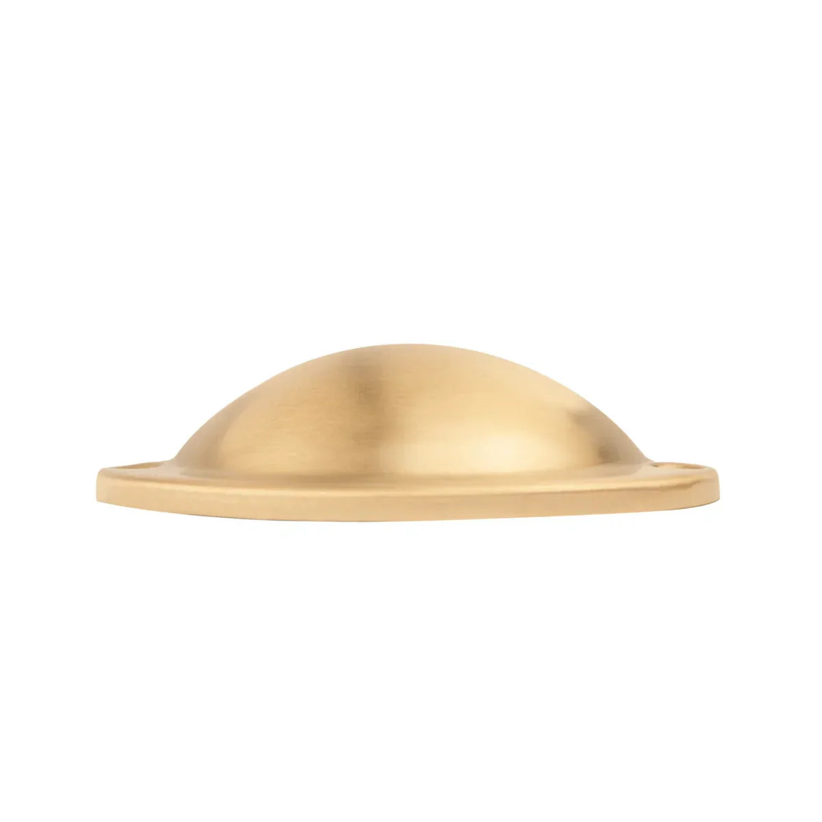 Classic Brushed Brass Shell Pull
