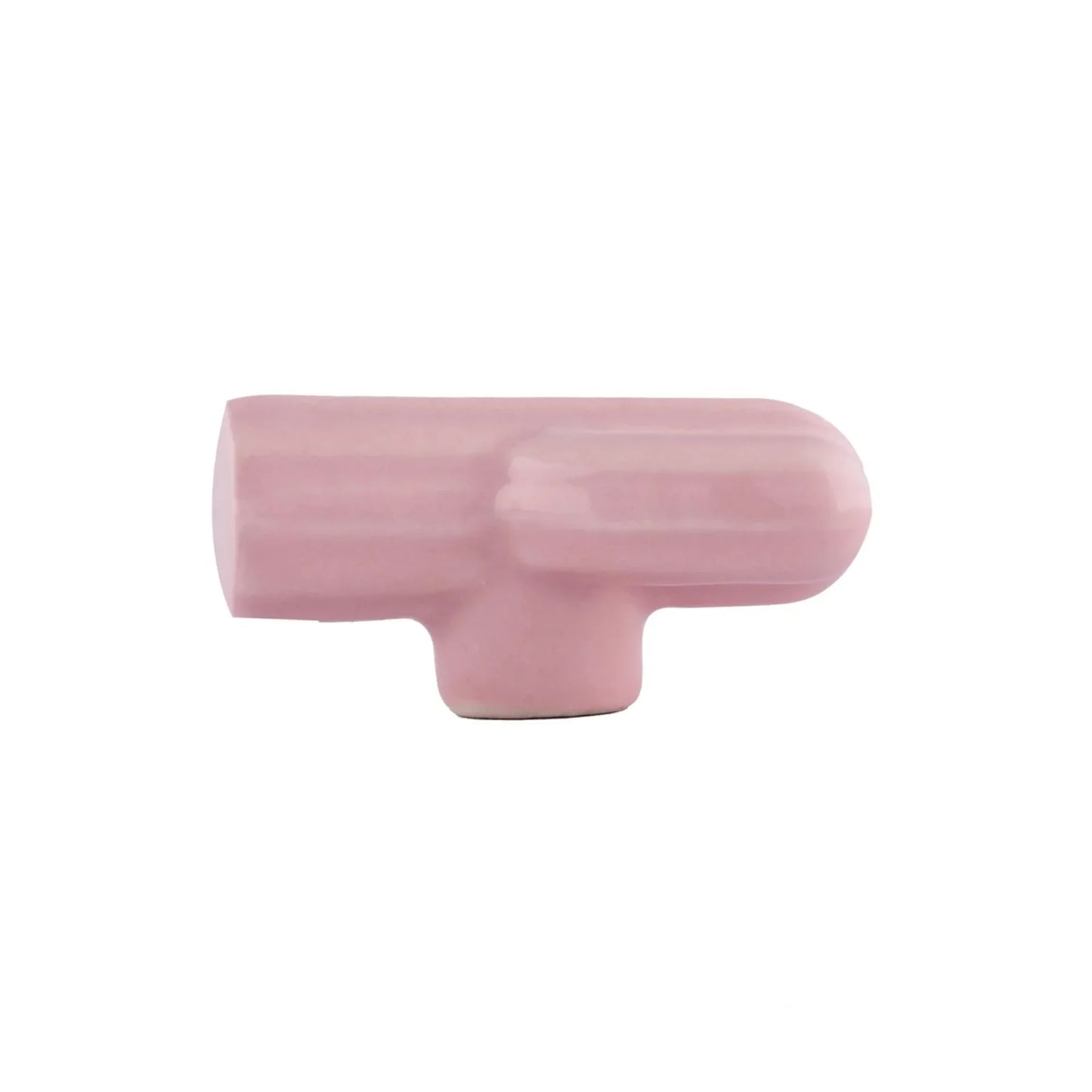 Ceramic Cactus Cabinet Knob