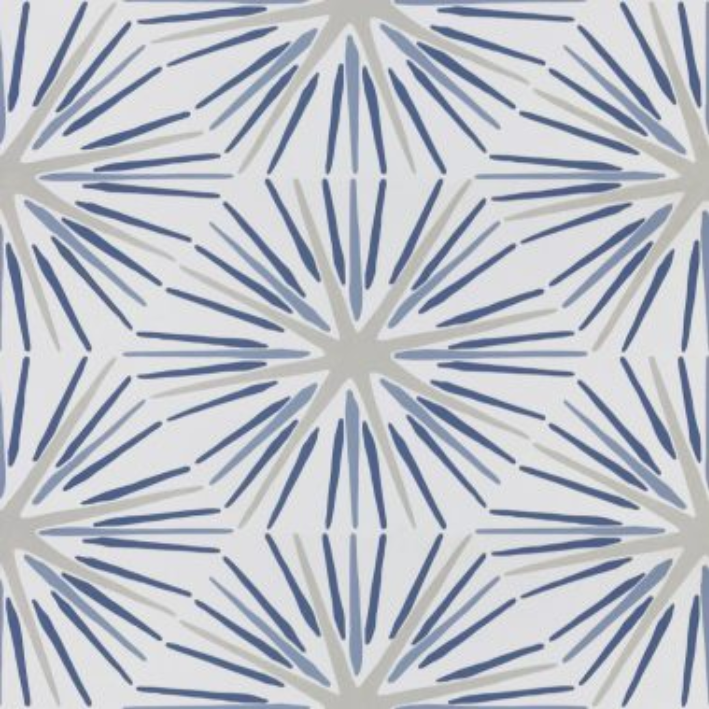 Indigo StarBurst
