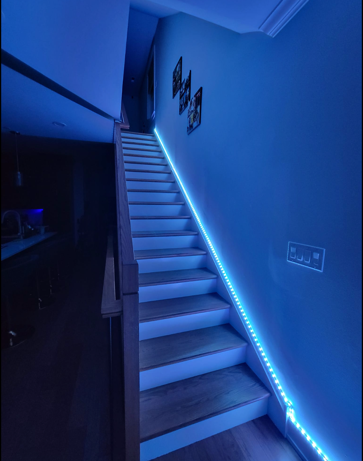 Enso 24V 120 LED Amber + ICE Blue Strip Light