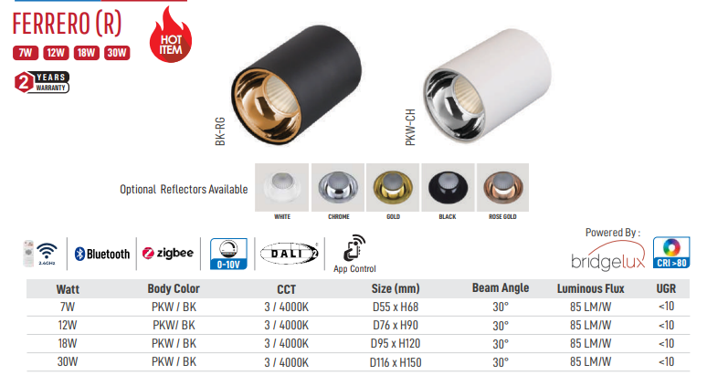Ferrero (R) Led Surface Light (Black)