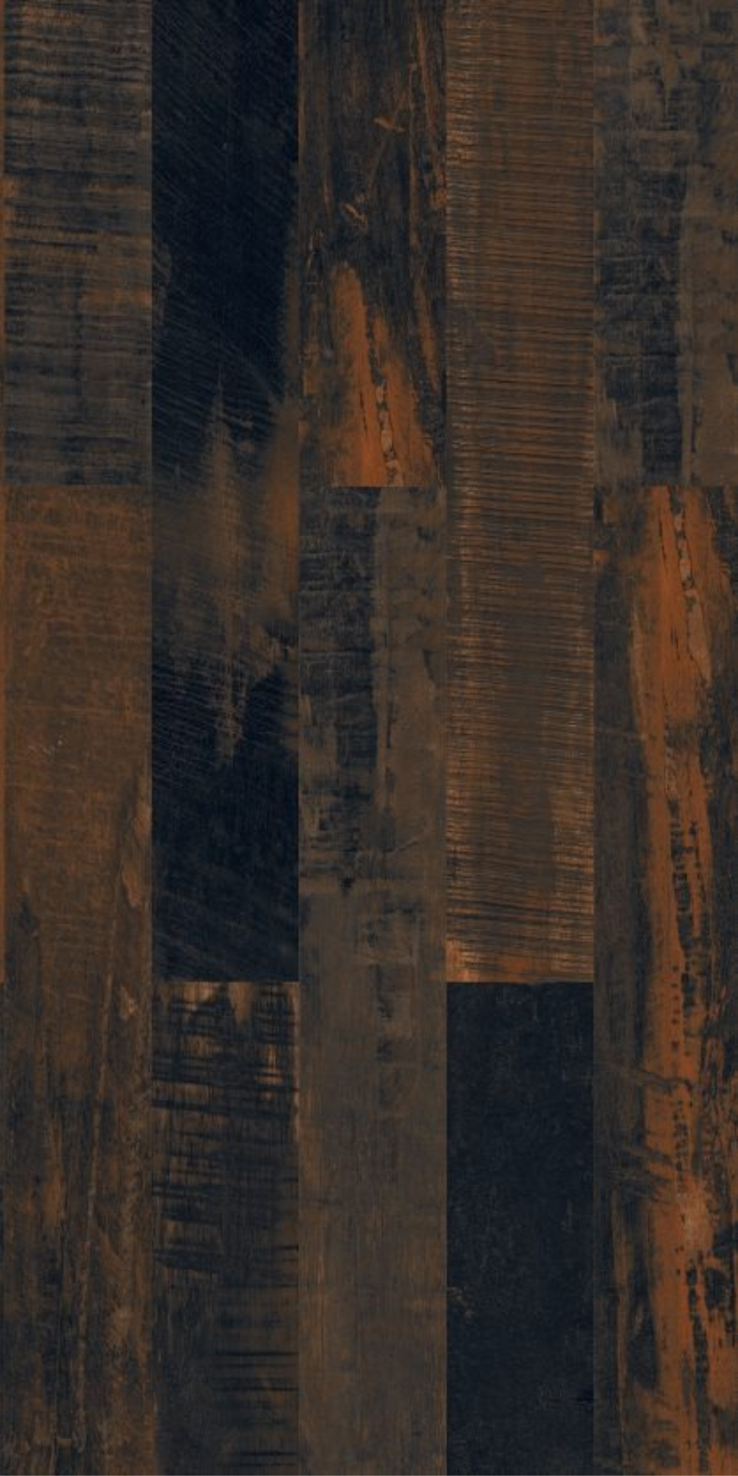 Petrified Wood