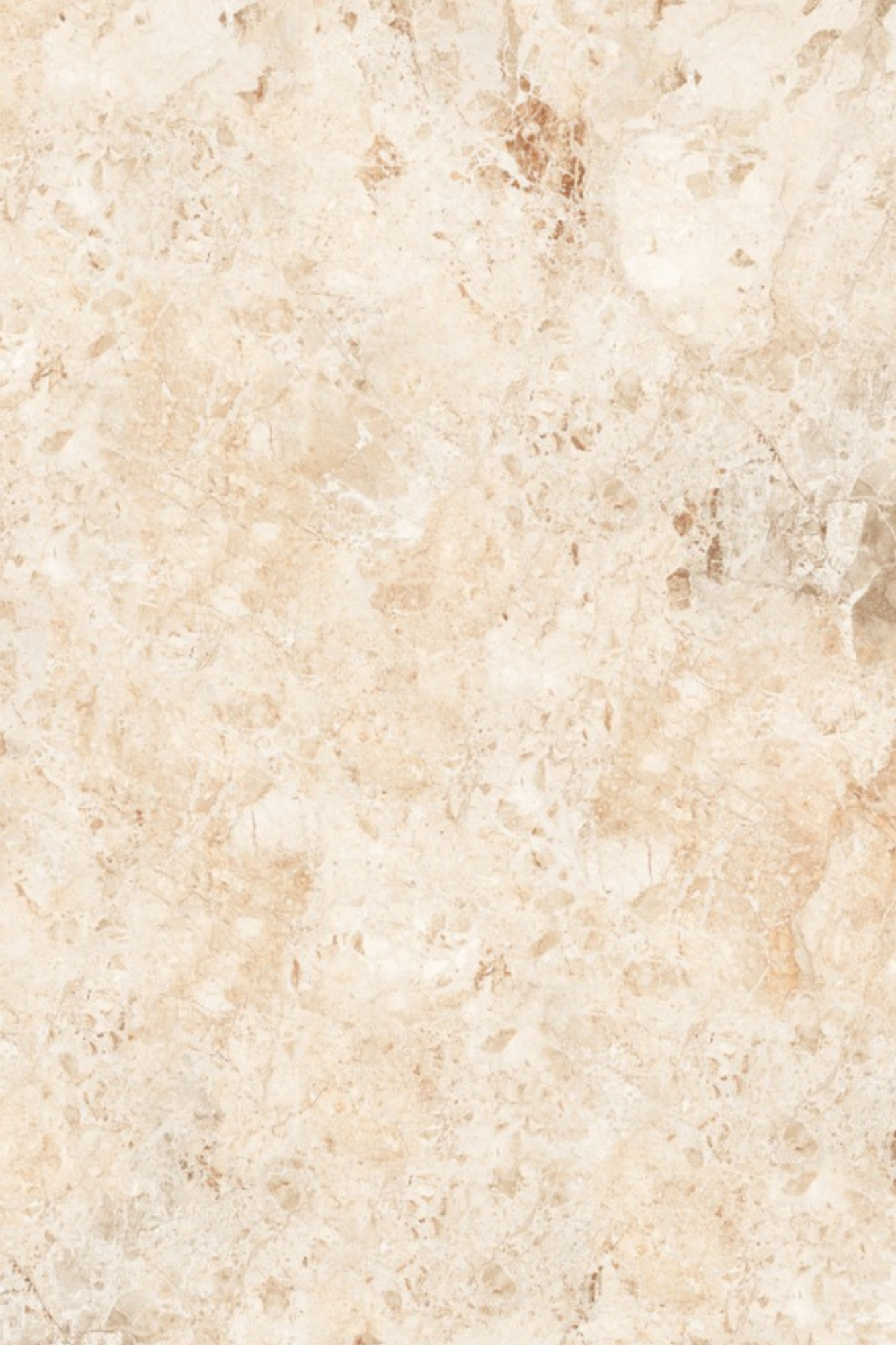 Biscotti Breccia