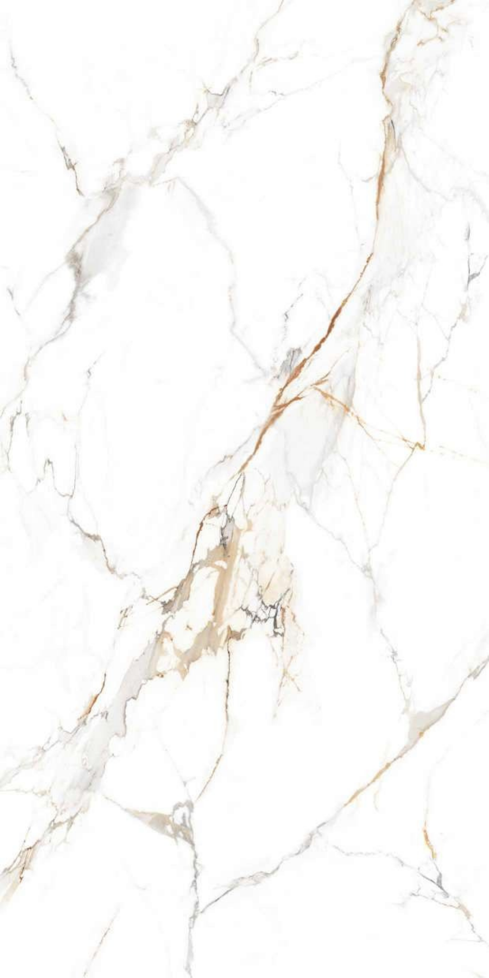 Calcatta Elegance