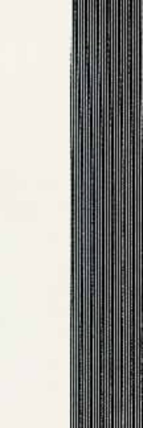 Noir Lines