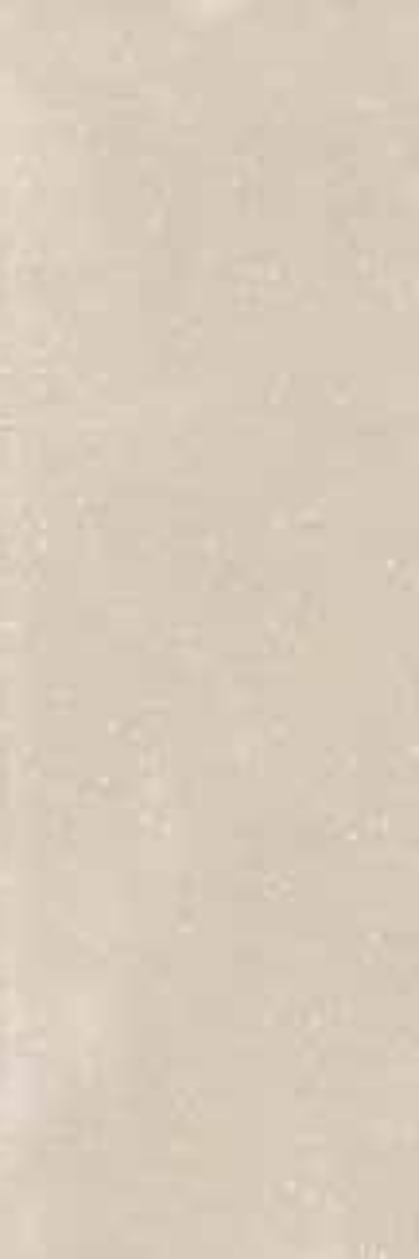 Plain Beige