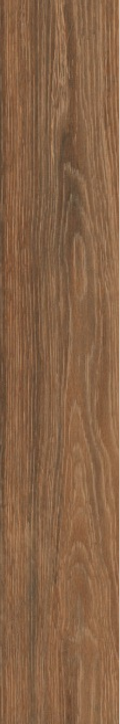 Chestnut Prime