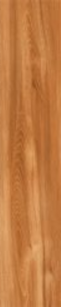 Tropical Cedar