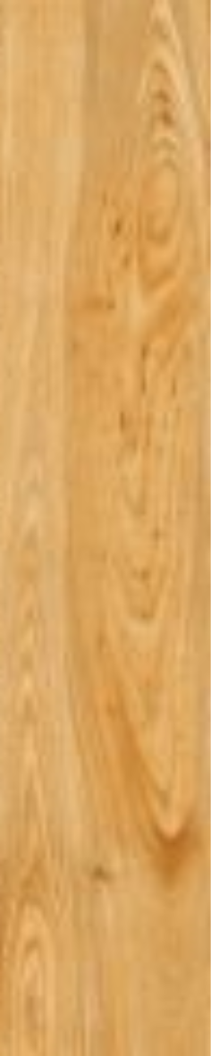 Nautical Spruce