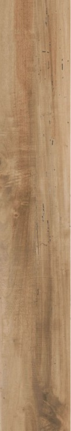 Earthline Teak