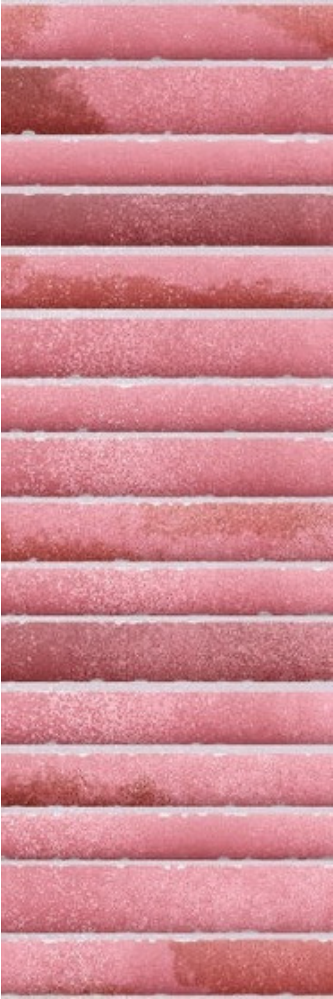 Kitkat Rose