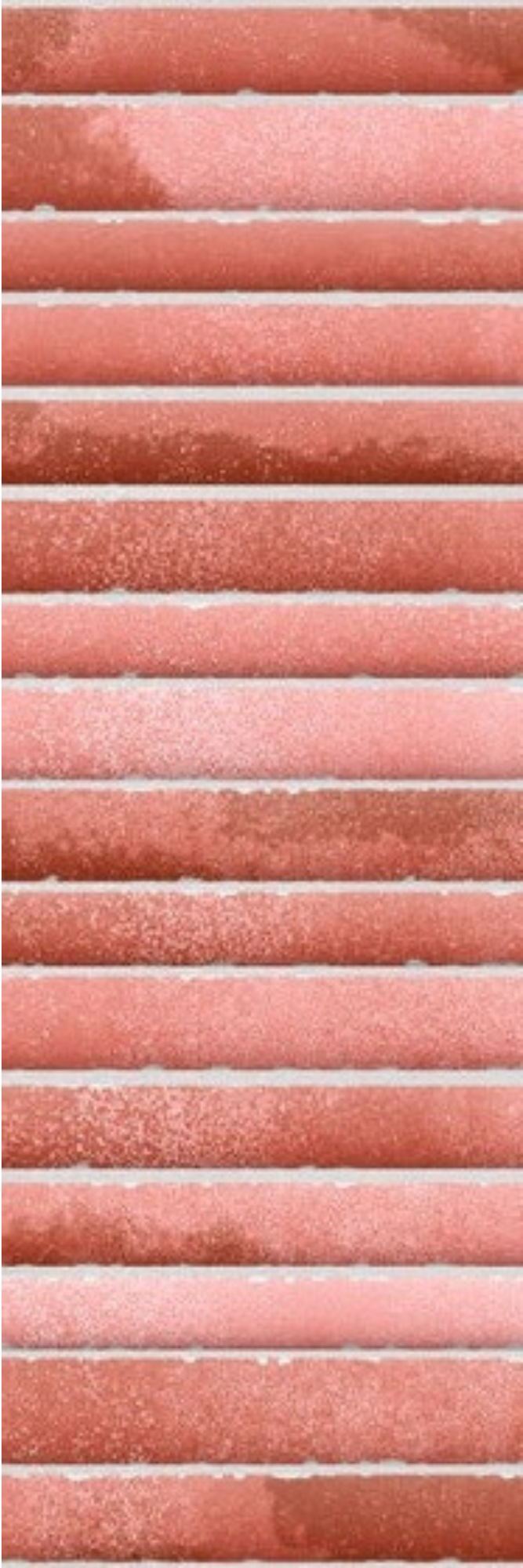 Kitkat Hibiscus
