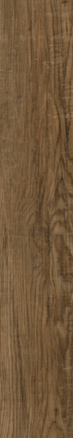 Terra Oak