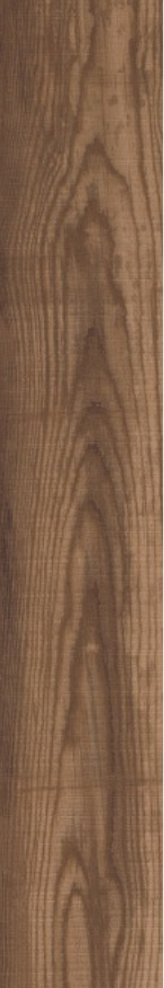 Coffee Oak