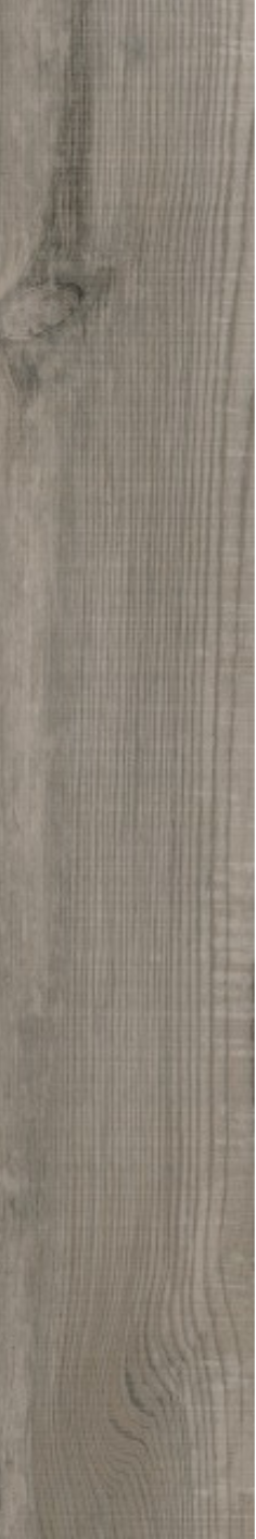 Silt Oak