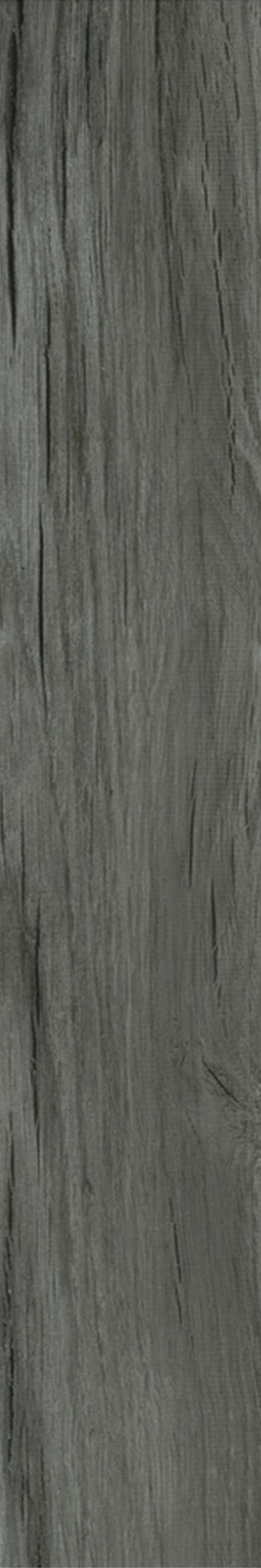 Zebrawood Pride