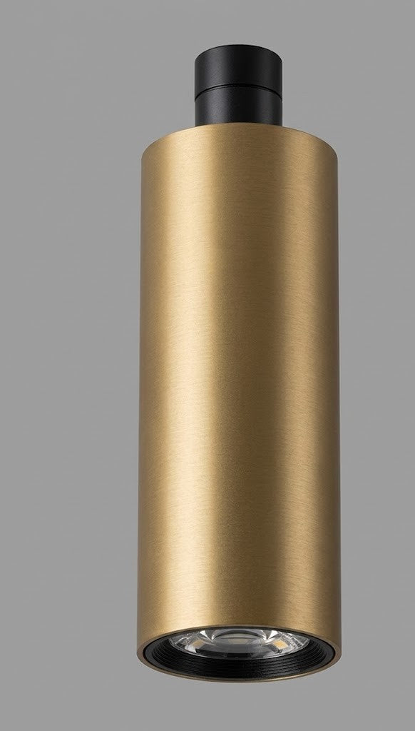 Luxe Point Pull-Up Spot Light