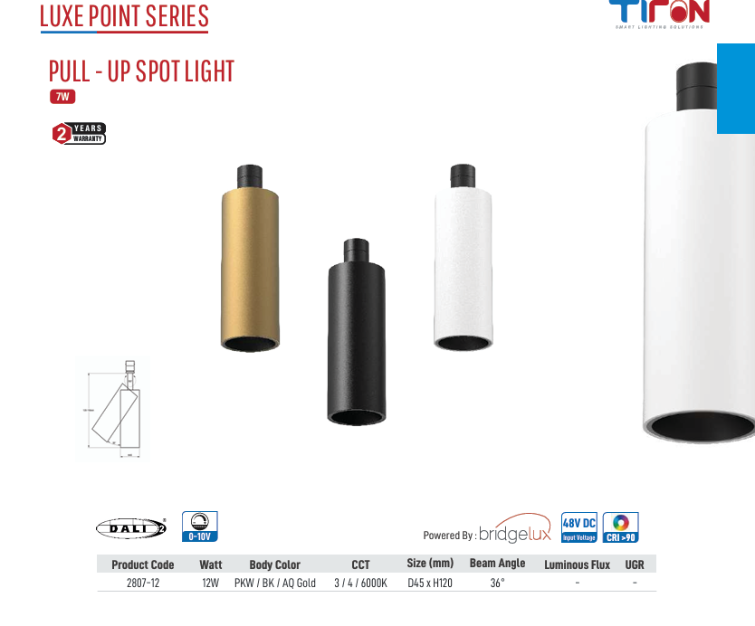 Luxe Point Pull-Up Spot Light