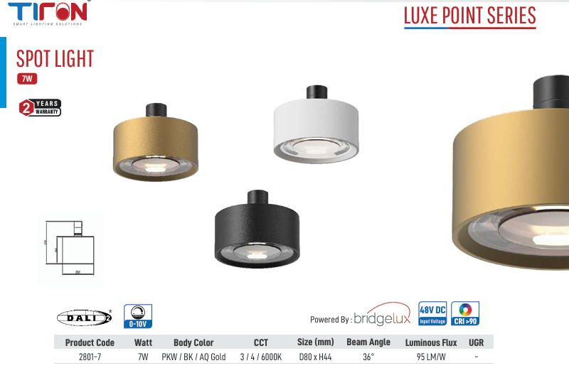 Luxe Point Spot Light
