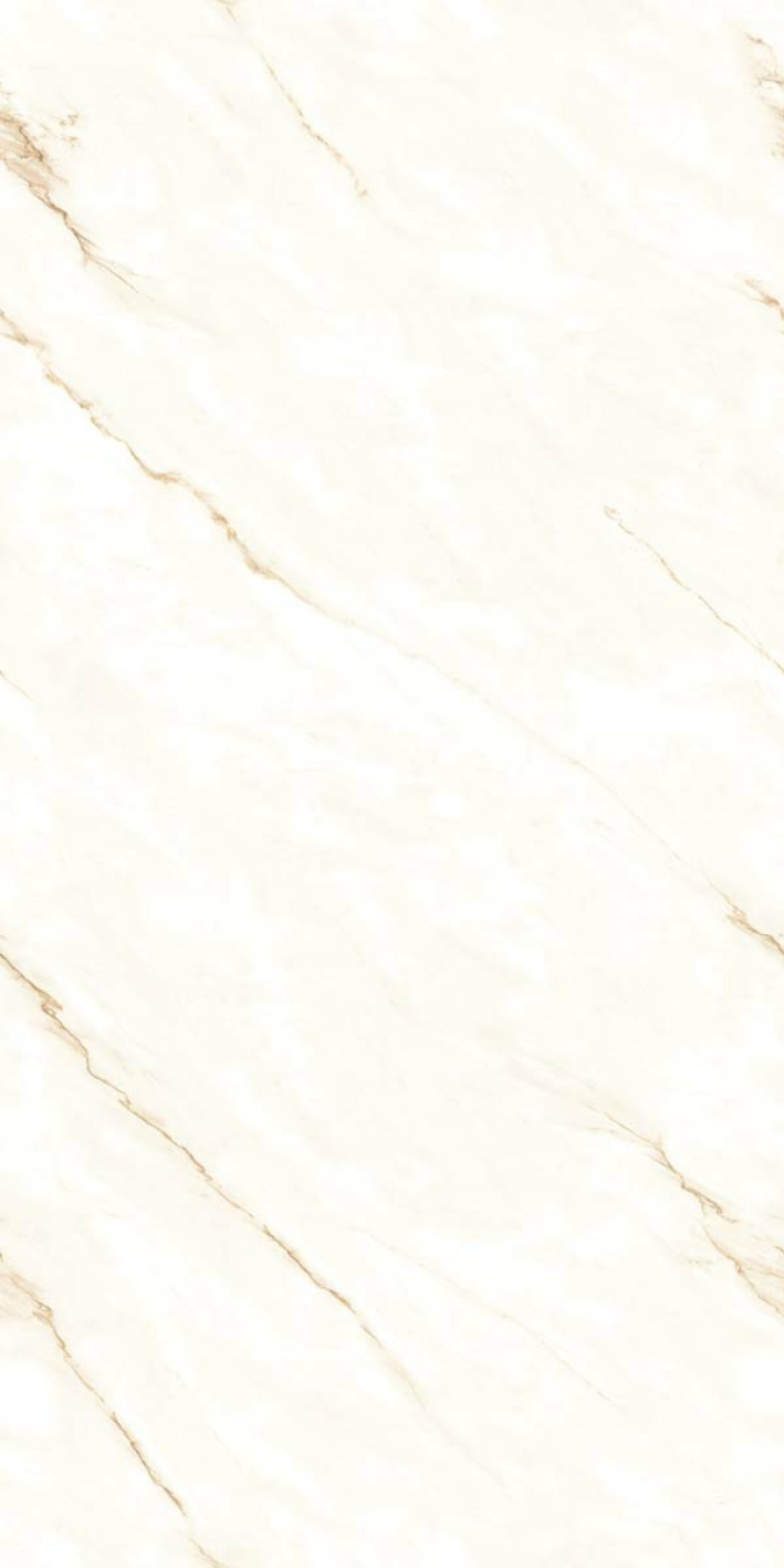Biscotti Veins
