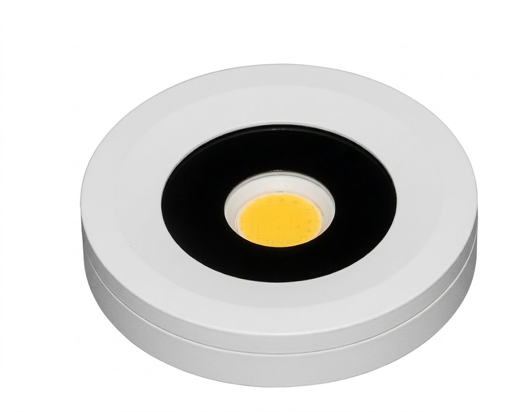 Magna IP Rated LED Surface Light
