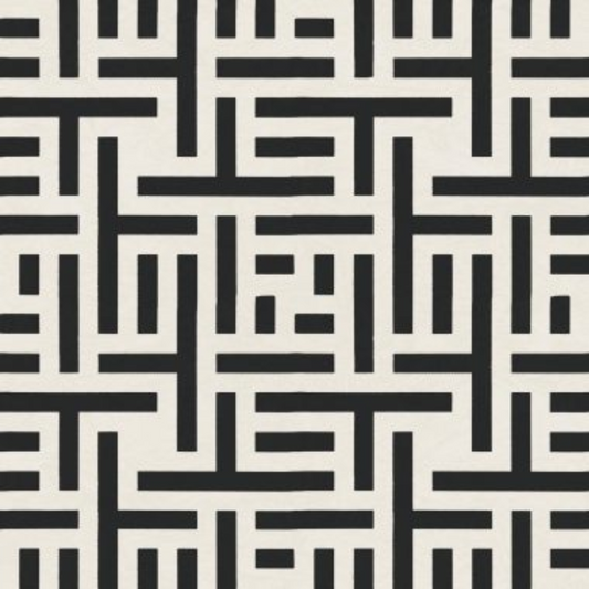 Monochrome Maze