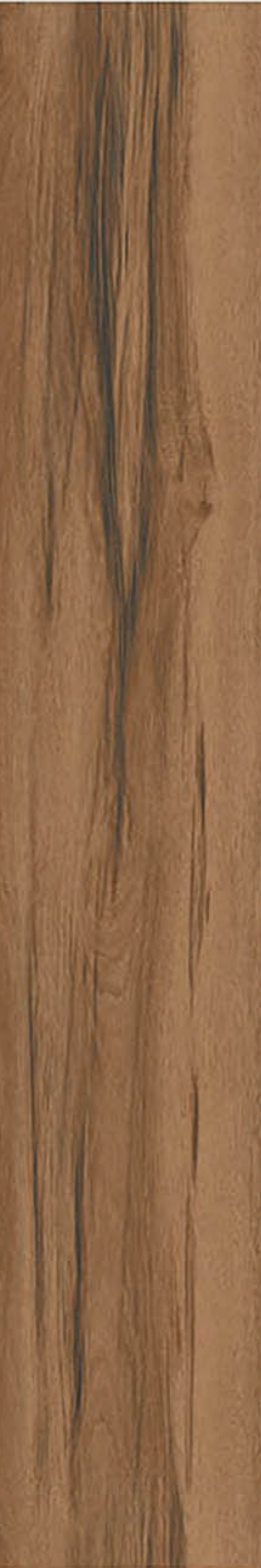 Latin Brown